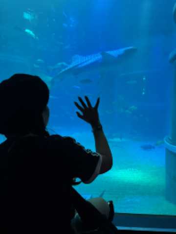 OSAKA : 1 Day trip Kaiyuka aquarium