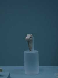 台北故宮｜秋冬最舒服的博物館日，室內吹冷氣看千年寶物順便躲霾