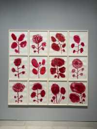 ํธ์๋ฏธ์ ๊ด ๋ฐ์ดํธ๐ซถ๐ป