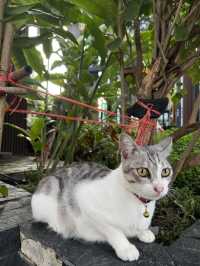 3 Amazing Days in Koh Phi Phi