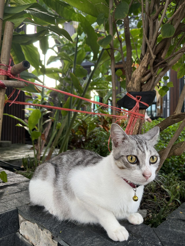 3 Amazing Days in Koh Phi Phi 3 Amazing Days in Koh Phi Phi