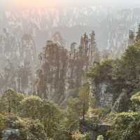 Zhangjiajie National Forest Park — East Gate One-Day Route That Actually Works