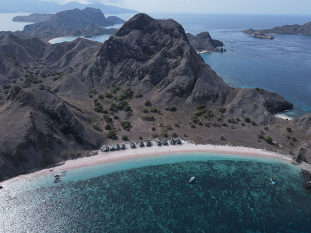 Pink Beach Paradise 🌸 Pink Beach Paradise 🌸