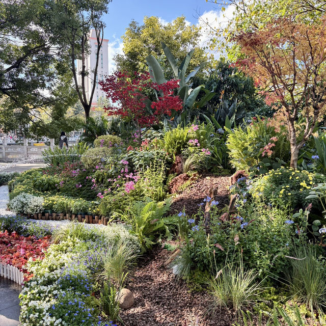 영원한 봄의 도시, 꽃이 지지않는 쿤밍