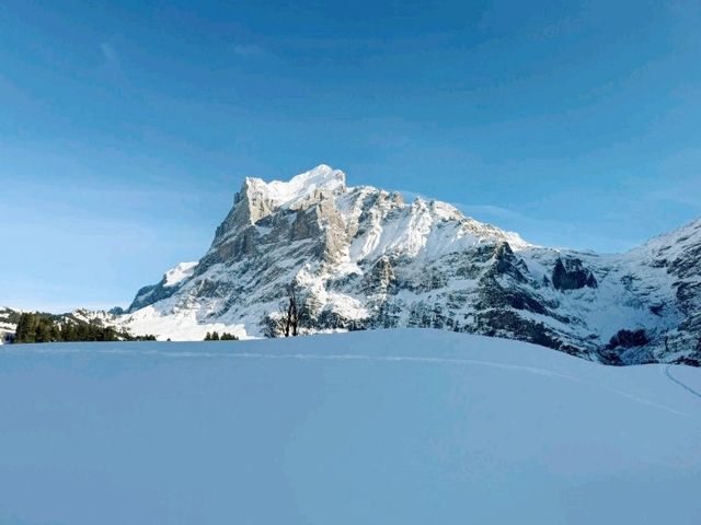 Lauberhorn race track