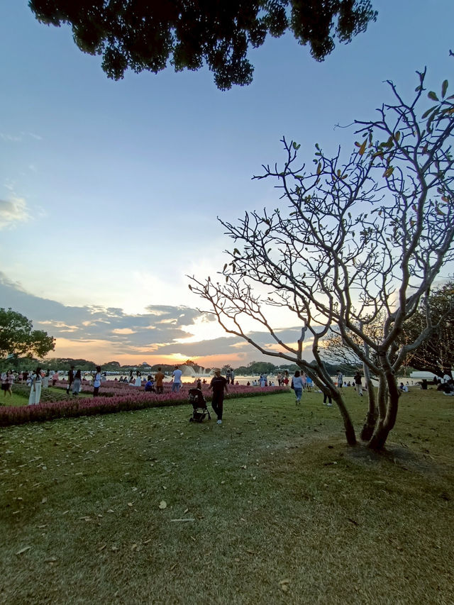 เดินชมดอกไม้งาม เทศกาลพรรณไม้เมืองหนาว สวนหลวงร.9