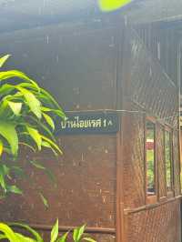 บ้านแม่แมะ เชียงดาว — หมู่บ้านกลางหุบเขาที่เงียบ