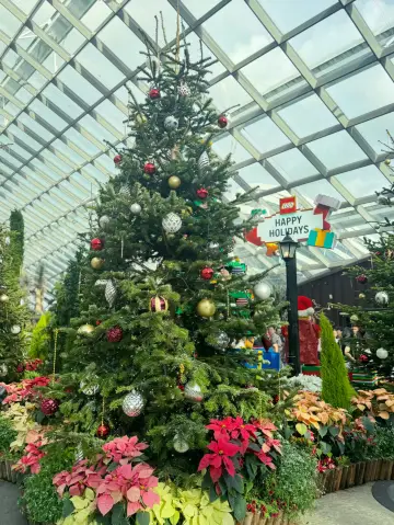 Breathtaking Escape at the Flower Dome