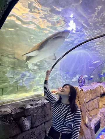 Dive into Adventure at SEA LIFE Sydney Aquarium – A Journey through the Ocean! 🌊🐠