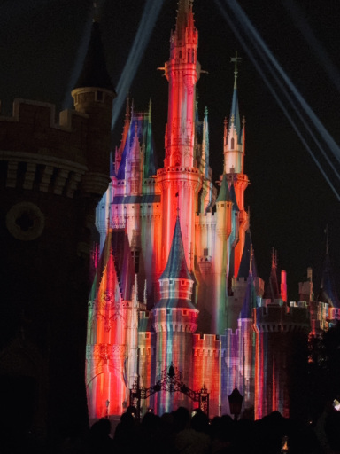 夜の東京ディズニーランド：曇り空でも最高なシンデレラ城の夜