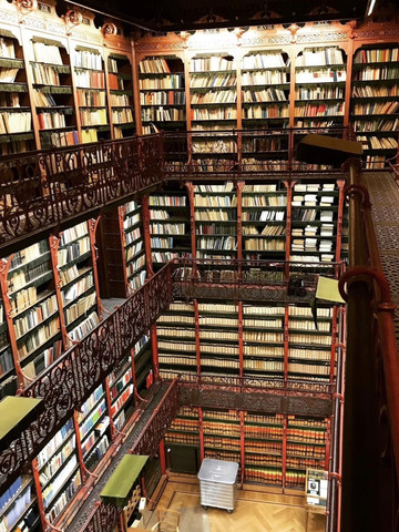 オランダで最も美しい図書館、年に1日だけの一般公開！ | Trip.com ハーグ