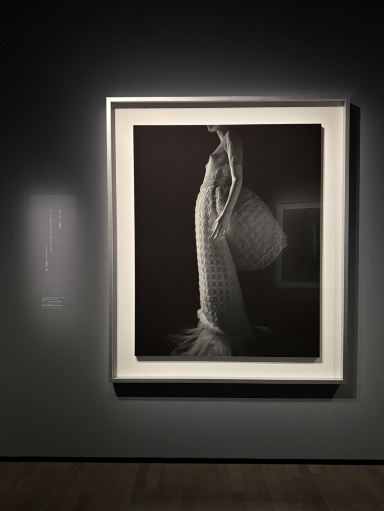 Hiroshi Sugimoto: Extinct Photography. | Trip.com Tokyo