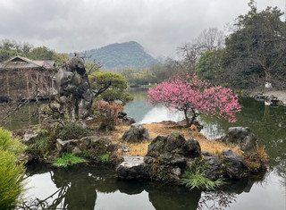 二月水寒：西湖靜謐一日