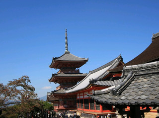 清水寺位於日本京都東山區的音羽山山腰,始建於西元 778 年,是京都最古老且最著名的佛教寺廟,並於 1994 年被聯合國教科文組織列入世界文化遺產。這座古剎主要供奉十一面千手觀世音菩薩,自古以來便是觀音信仰的聖地,其依山而建的木造建築與四季交織的絕美風光,使其成為造訪京都絕不可錯過的代表性地標。 

🌟 六大參訪亮點 :

1. 清水舞台:高 13 公尺,由 139 根櫸木柱支撐,沒用任何一根釘子。 

2. 音羽瀑布:三道泉水由右至左代表健康、戀愛、學業,限選一種飲用。 

3. 三重塔:日本最大規模三重塔之一,朱紅色外觀為經典拍照地標。 

4. 仁王門:氣派的朱紅色正門,兩側有高大的金剛力士雕像。 

5. 隨求堂:可體驗「胎內巡禮」,在全黑地下室摸索前進、洗滌心靈。 

6. 奧之院:拍照聖地,是拍攝「清水舞台」全景與京都塔的最佳角度。 

🌸 季節與周邊 :
春櫻秋楓:春季賞櫻、秋季賞楓,夜間有特別**燈光點燈參拜。 

二三年坂:山腳下的古老石板街,佈滿町家老店,適合穿和服散步。 
