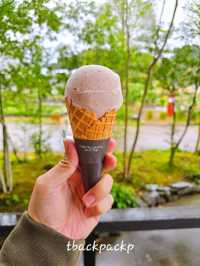 Day 3 ย้ายเมืองไปที่ Kumamoto กับ Rpadtrip ยาวๆจาก Yufuin ตามไปเที่ยวกัน 🚗 (Apr 26)