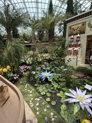 Lilytopia: A Journey Through Egypt’s Lost Palette of Lilies
