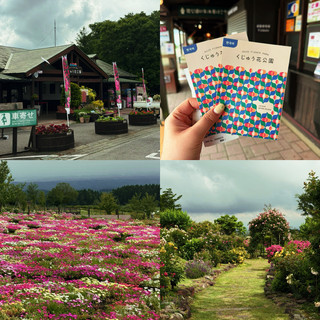 Oita Travel Guide: Explore the Endless Blooms at Kuju Flower Park (Plus Admission Info!) 🌸