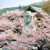 治愈神殿