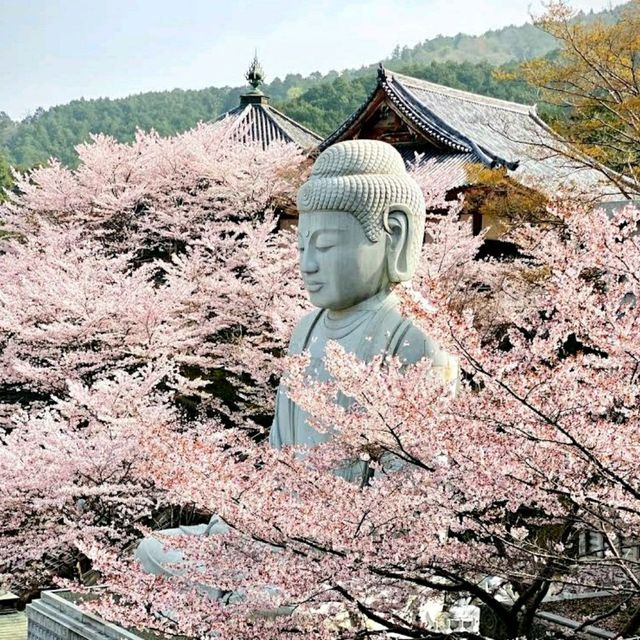 治愈神殿