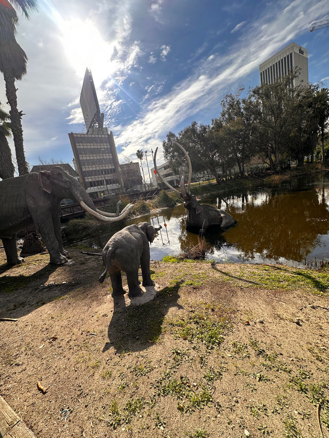 A beautiful park in Miracle Mile 