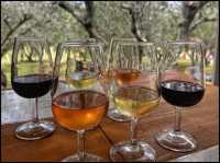 Wine Tasting at Waiheke Island 