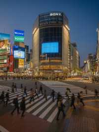 Tokyo, Japan 🗼🍜🌸
