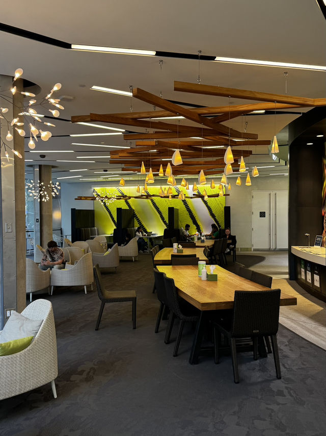 2025西雅圖亞馬遜必去景點：The Spheres