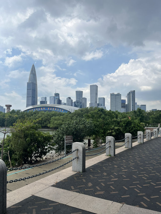 Shenzhen amazing city.  Shenzhen amazing city.