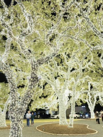 존슨 시티 라이트 트레일