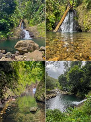 "Seven Sisters" - One of the Famous Waterfalls in Grenada.