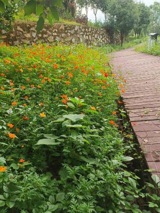 Recharging in a nameless place is a gentle rebellion against an exhausting life. Amidst the hustle, we often forget why we started, and travel is exactly that.