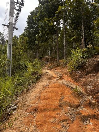 Pai Canyon