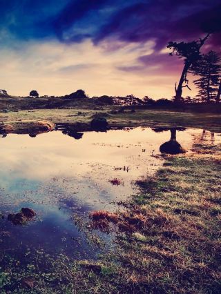 England’s Lake District: Finding More Than Peter Rabbit at a Hill Top Bookshop