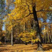 Park Ostankino 😍