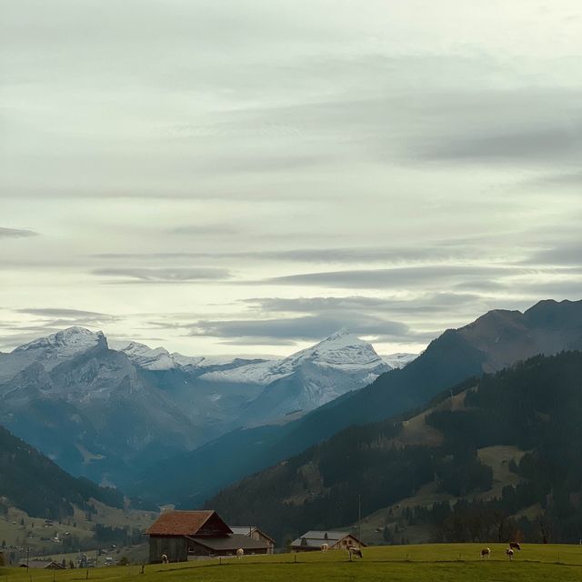 Goldenpass Belle Epoque in Switzerland🇨🇭😍