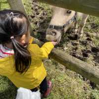 Milton Keynes -Gulliver's Dino & Farm Park