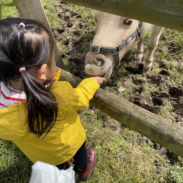 Milton Keynes -Gulliver's Dino & Farm Park