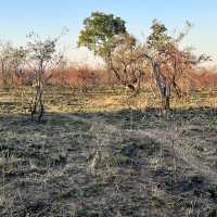 Kruger National Park