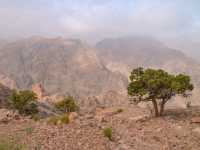 The Stunning Backdoor Hike in Petra