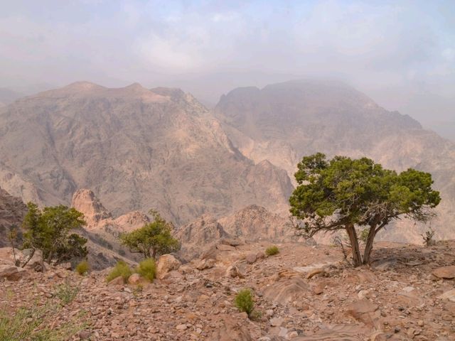 The Stunning Backdoor Hike in Petra