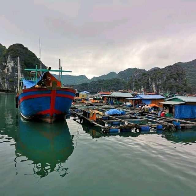 Vietnamese Island paradise 🇻🇳