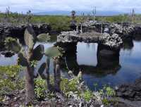Exploring the Galápagos Islands