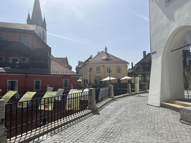거짓말쟁이 다리🇷🇴
