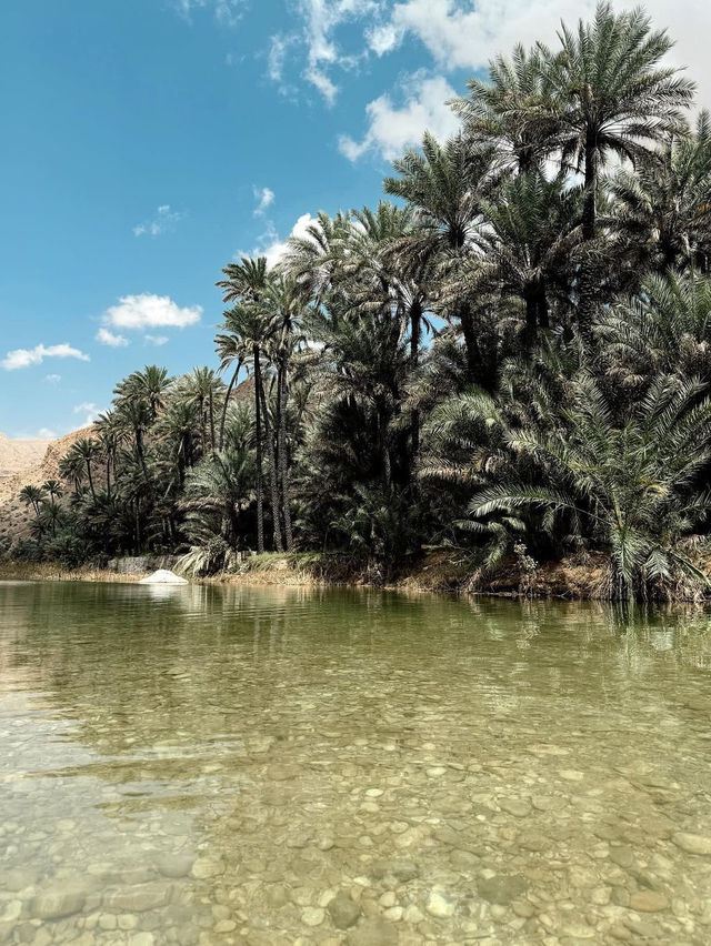 Wadi Bin Khaled 