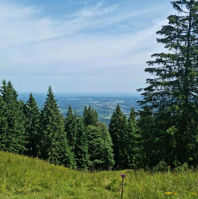 Tranquil Tegernsee with a view of the alps!
