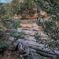 Avakas Gorge Nature Trail 🗺️