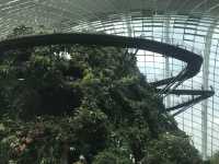 Singapore: A Dynamic Fusion of Culture, Innovation, and Green Spaces