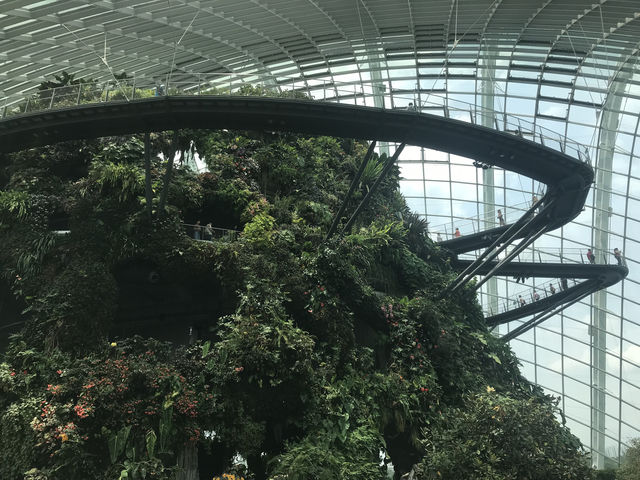 Singapore: A Dynamic Fusion of Culture, Innovation, and Green Spaces