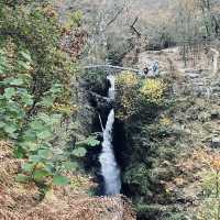Chasing Waterfalls: A Scenic Drive to Aira Force