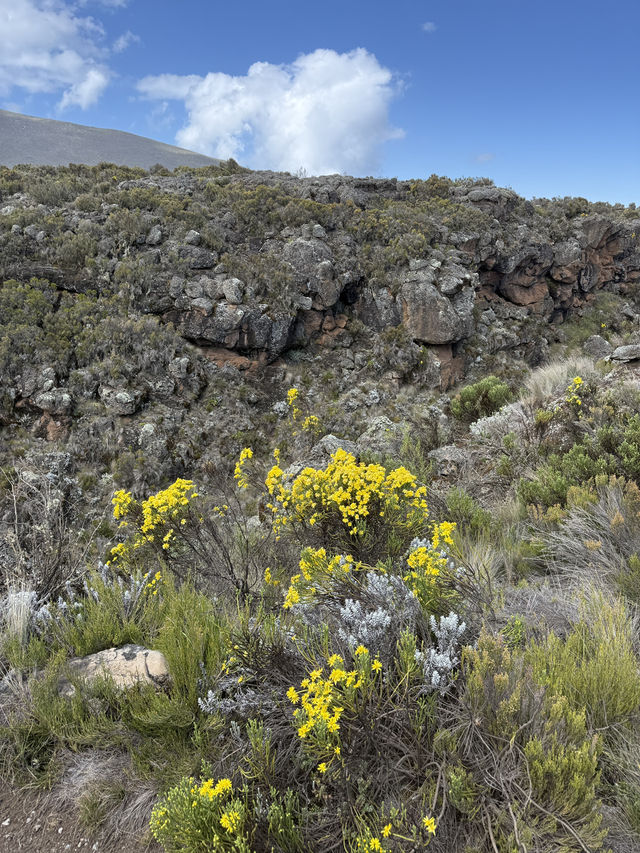 Climbing Mount Kilimanjaro – Shira Cathedral 🗻